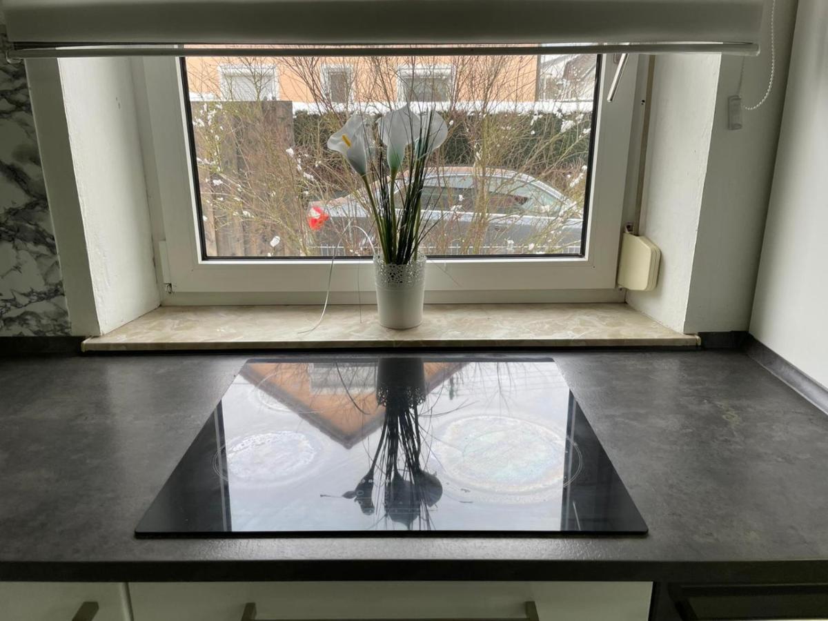 Guntia Apartment Mit Grossem Garten Γκούνζμπουργκ Εξωτερικό φωτογραφία